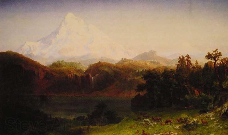 Albert Bierstadt Mount Hood, Oregon Norge oil painting art